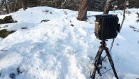 Cameratraps during Wintertime