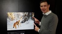 Wildlife Photographer of the Year im Museum Mensch und Natur