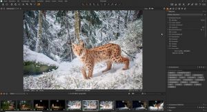 CaptureOne als Software für Naturfotografen