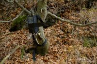 Trailmaster TM1550PS - die beste Lichtschranke für Naturfotografen!